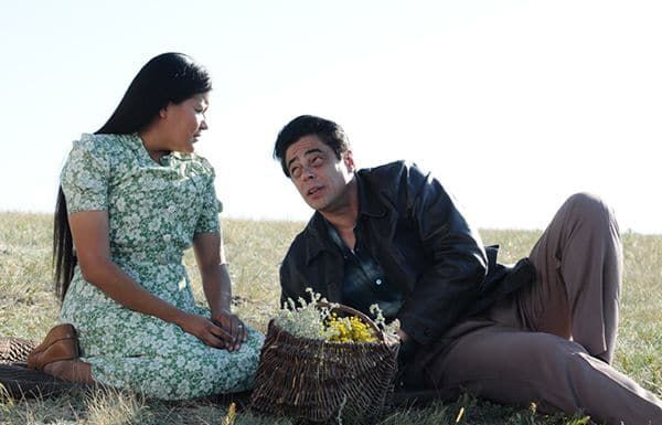 Kent Jones on Misty Upham with Benicio Del Toro in Arnaud Desplechin's Jimmy P: Psychotherapy of a Plains Indian: "So what I remember of Misty is that she spoke and moved quietly, as if she were holding something in balance, something fragile."